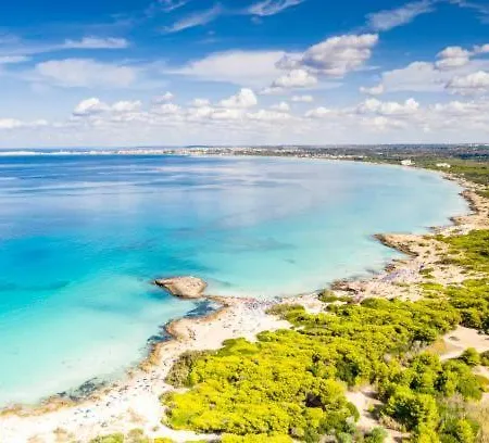 Eucalipti - Vibes And View Baia *
